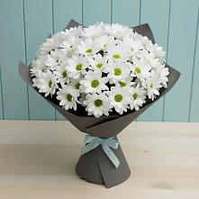 Букет цветов из:  Хризантемы #REPLACE_PRED# Манжерок