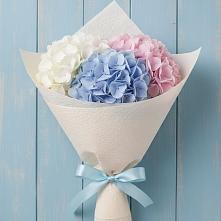 Букет цветов из:  Гортензия в Манжерок