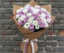 Букет цветов из:  Хризантемы #REPLACE_PRED# Манжерок