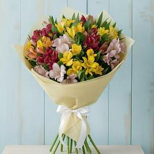 Букет цветов из:  Альстромерии в Манжерок
