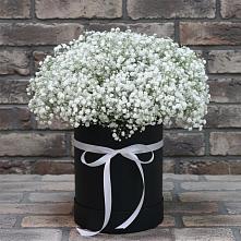 Цветочная композиция из Гипсофила в шляпной коробке #REPLACE_PRED# Манжерок