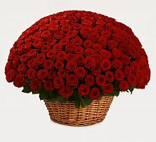 Премиум букет из: Розы в Манжерок