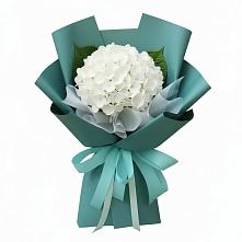 Букет цветов из:  Гортензия в Манжерок